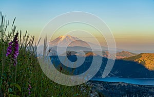 Mount Adams and Spirit Lake As Seen From Coldwater Peak Trail Just Before Sunset