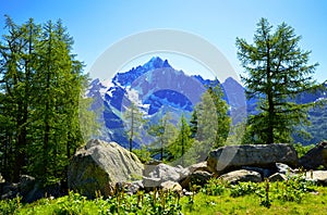 Mount Aiguille Verte, Graian Alps, France, Europe.