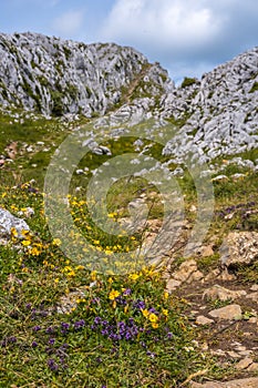 Mount Aizkorri the highest in Guipuzcoa photo