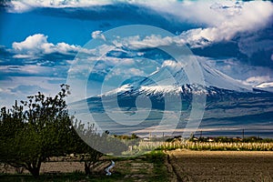 Mount Ararat. Beautiful landscape with mount Ararat