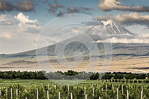 Mount Ararat in a landscape of Armenia