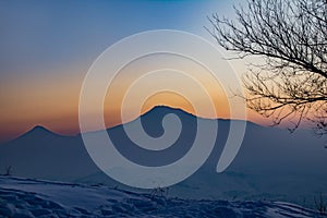 Mount Ararat and a lonely tree. Beautiful fiery sunrise