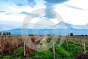 Mount Ararat. The slopes of the biblical mountain, which is an extinct volcano