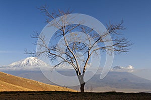 Mount Ararat, Turkey
