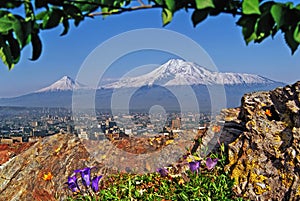 Mount Ararat and Yerevan city