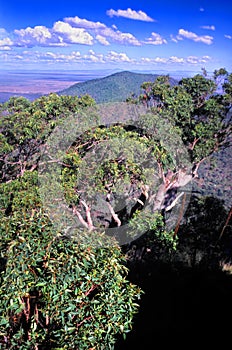 Mount Archer National Park Australia