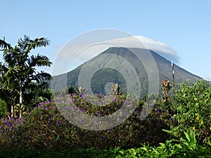 Mount Arenal in Costa Rica. Picturesque landscape, clouds cover the top of the mountain, around flowers, palm trees.