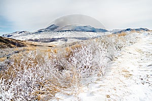 Mount aso in winter