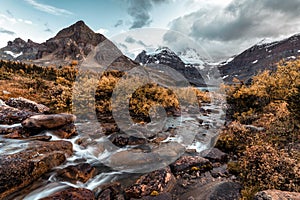 Mount Assiniboine with stream flowing in autumn forest at provincial park