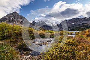 Mount Assiniboine with stream flowing in golden wilderness at provincial park