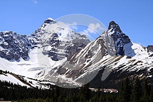 Mount Athabasca