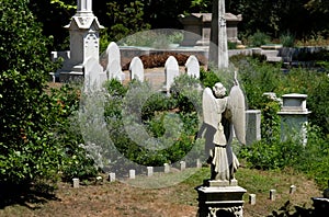 Mount Auburn Cemetery with a statue of an angel and tombstones in Massachusetts