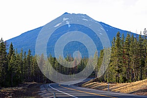 Mount Bachelor from Forest Road 45 photo