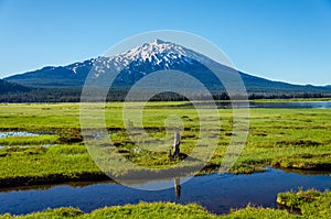 Mount Bachelor and Meadow