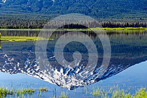 Mount Bachelor Reflection photo