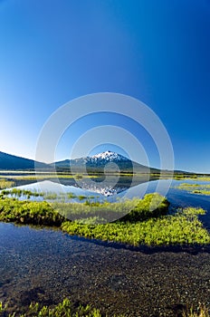 Mount Bachelor Vertical Reflection photo