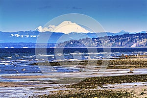 Mount Baker Bracketts Landing North Beach Park Edmonds Washington photo