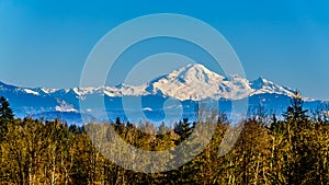 Mount Baker from Glen Valley near Abbotsford BC Canada photo