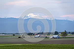 Mount Baker Jutting over a farm on a beautiful Pacific Northwest Scenery
