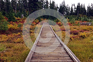 Mount Baker National Park