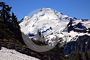 Mount Baker Snow Evergreens Washington photo