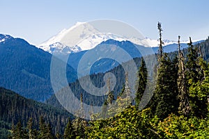 Mount Baker, Washington State towers above forested hills