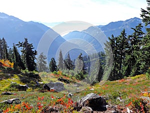 Mount Baker wilderness with fall colors