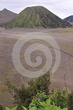 Mount Batok seen from Seruni Point at Bromo Park, Java Indonesia