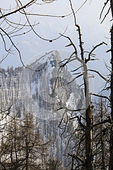 The mount Bettone after a snowfall at sunset photo