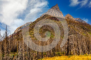 Mount Blakiston Waterton Lakes National Park Alberta Canada