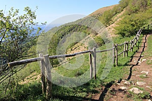 Mount Bolettone photo