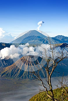 Mount Bromo