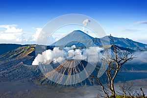 Mount Bromo photo