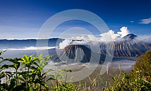 Mount Bromo