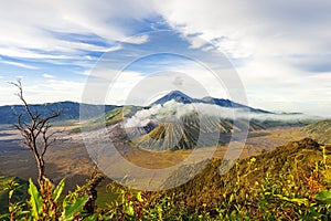 Mount bromo batok semeru volcano, java indonesia photo