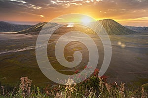 Mount Bromo Gunung Bromo at sunrise in East Java, Indonesia.