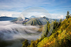 Mount Bromo at Sunrise, Java, Indonesia