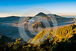 Mount Bromo volcano & x28;Gunung Bromo& x29; during sunrise from viewpoint on Mount Penanjakan, in East Java, Indonesia