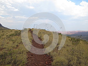 Mount Bruce near Karijini National Park, Western Australia