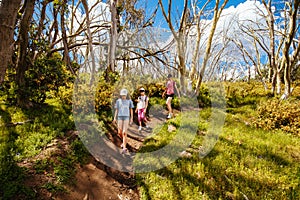 Mount Buller Walking and Biking Trails in Summer