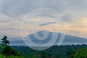 Mount Cameroon in the distance during evening light with cloudy sky and rain forest, Africa