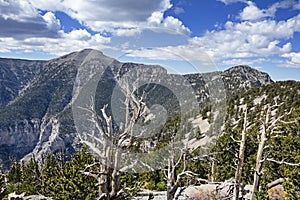 Mount Charleston