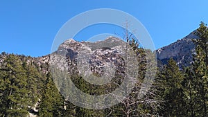 Mount Charleston Nevada