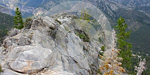 Mount Charleston Nevada