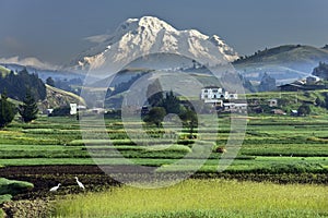 Mount Chimborazo in Ecuador - South America