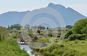 Mount Circeo landscape