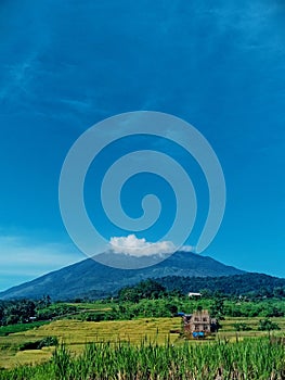 Mount Ciremai and rice fields