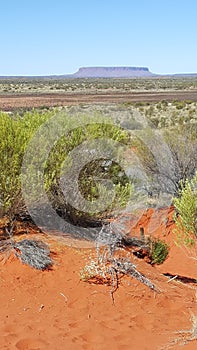 Mount Connor in Northern territory