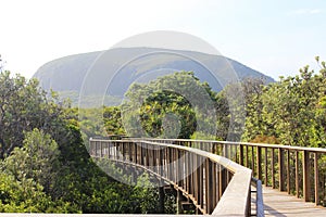 Mount Coolum on the Sunshine coast