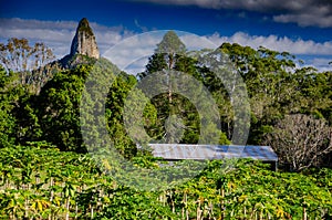 Mount Coonowrin, one of the Glasshouse Mountains in Queensland, Australia photo